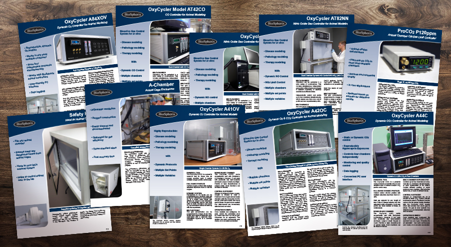 Direct Mail Rewards Circulars